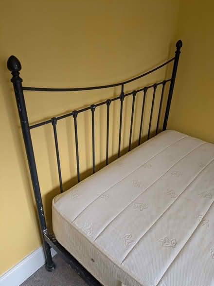 Photo of free Tall Pallet (Earwig Corner BN7) #3