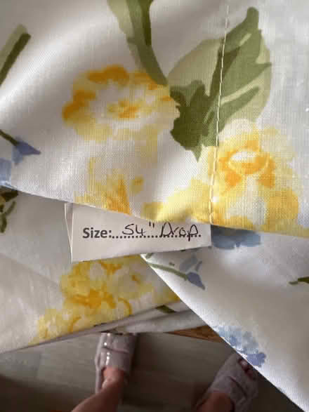 Photo of free Curtains (Madeley / CW3) #3
