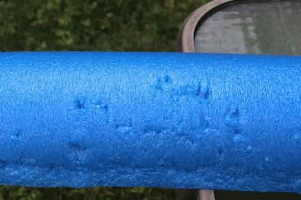 Photo of free Half Roller for Exercise (Groton near center) #2