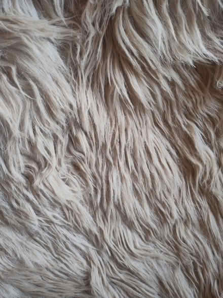 Photo of free Very furry blanket/throw 8' x 4' (Little Kingshill HP16) #3