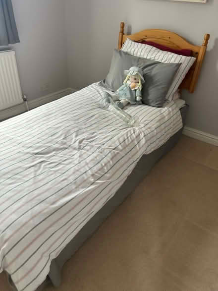 Photo of free Electric single bed orthopaedic (RG4) #1