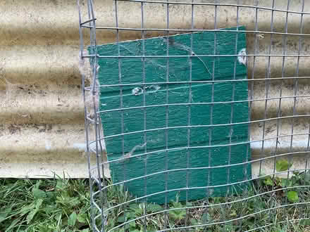 Photo of free One inch Wire mesh (Tigard, Oregon) #1