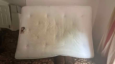 Photo of free Mattres (Bray) #1