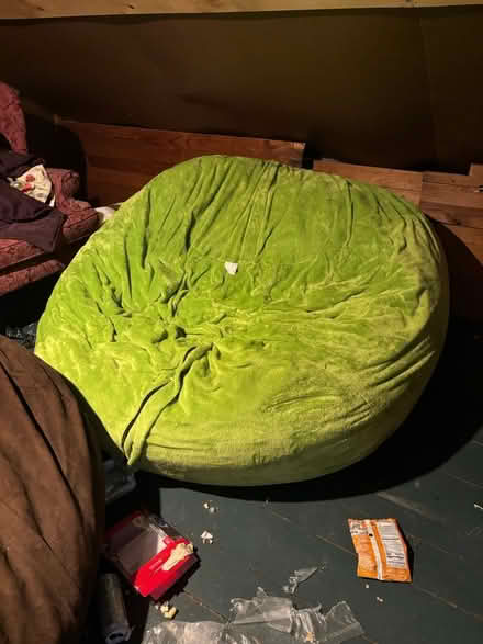 Photo of free Large bean bag chairs (Canandaigua, NY) #3