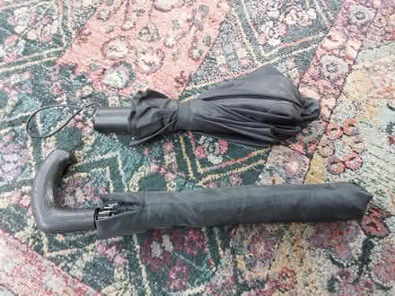 Photo of free Umbrellas (Bloor/West Mall) #1
