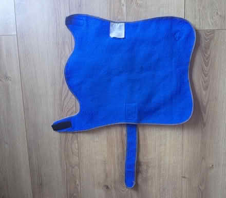 Photo of free Small dog coat (Winton BH9) #2