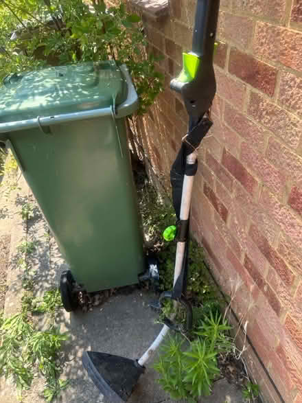Photo of free Petrol Strimmer (Luton LU3) #2