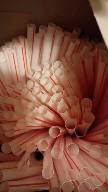 Photo of free Plastic straws for craft projects? (Somerville, off Cedar St) #1