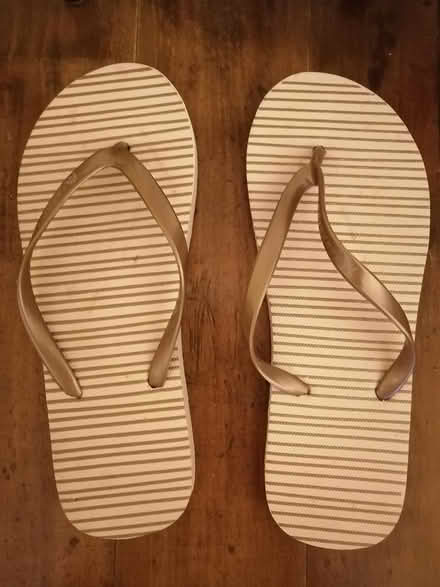 Photo of free Flip flops (Old Ottawa East) #1