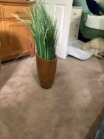 Photo of free Pot for whatever (Lancaster willow lane) #1