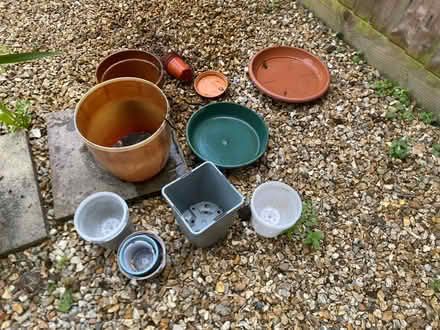 Photo of free Plant Pots of Various Sizes (Heath) #1