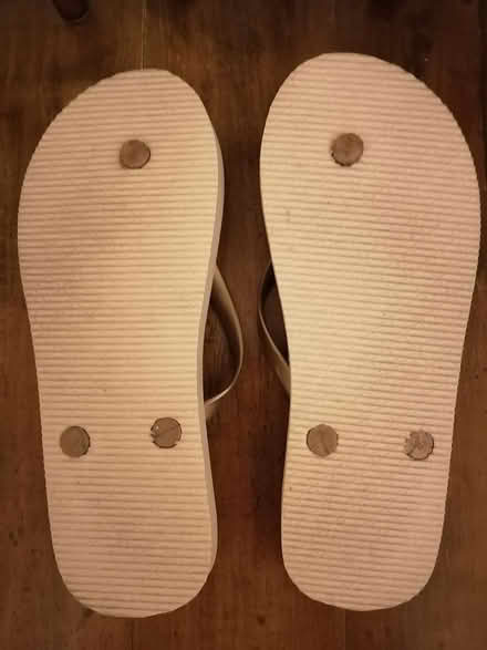 Photo of free Flip flops (Old Ottawa East) #2