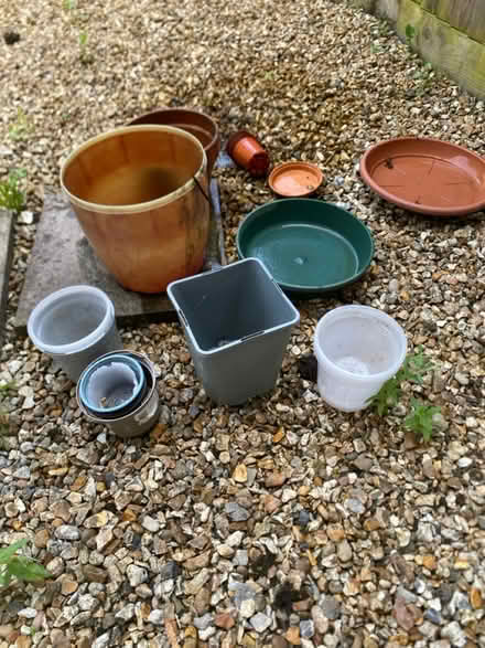 Photo of free Plant Pots of Various Sizes (Heath) #2