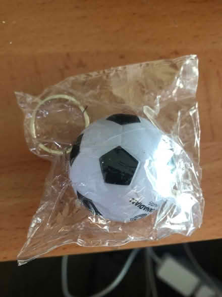 Photo of free Soccer ball keychain (Midtown Toronto) #1