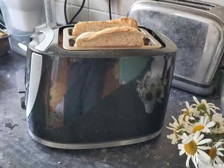 Photo of free Toaster (Addlestone) #1