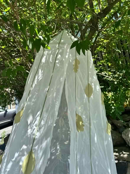 Photo of free Veil for a crib or bed (Bellrock area Malden) #2