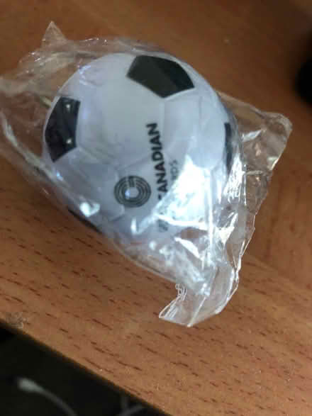 Photo of free Soccer ball keychain (Midtown Toronto) #3
