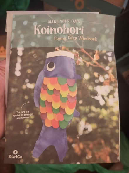 Photo of free Kiwi craft kit (TN40) #1