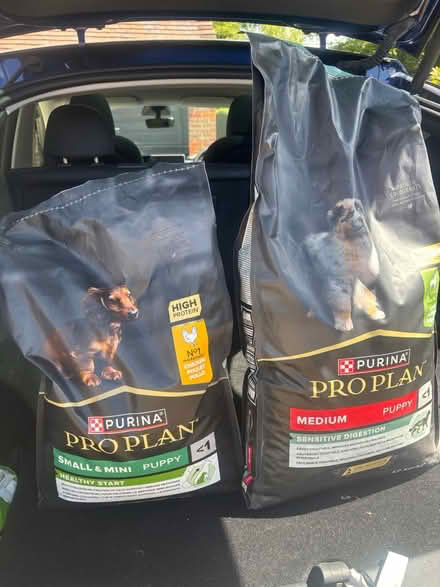 Photo of free Puppy food (Farnham Common, Bucks, SL2) #1
