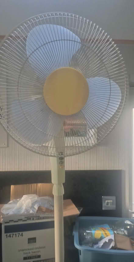 Photo of free Tall fan (Derby Chaddesden DE21) #1
