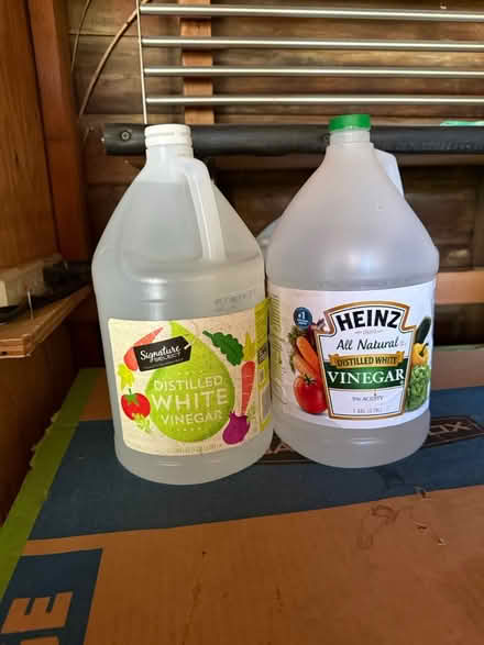 Photo of free 1.5 gallons of white vinegar (Mill Valley) #1