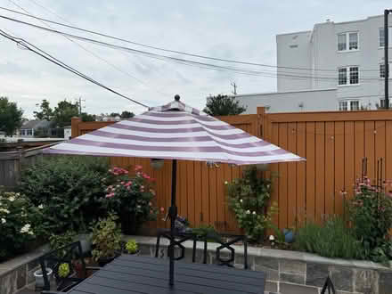 Photo of free Patio Umbrella (Alexandria) #1