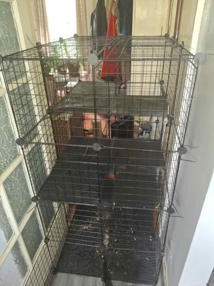 Photo of free Cat cage /catio (Trewoon) #1