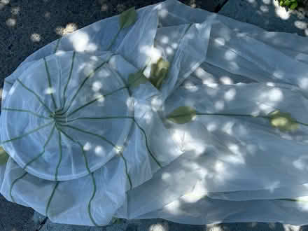 Photo of free Veil for a crib or bed (Bellrock area Malden) #3