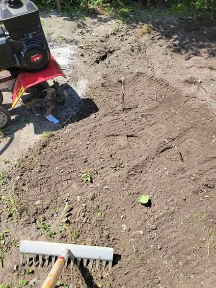 Photo of Metal Detector to lend (Riverside South) #2
