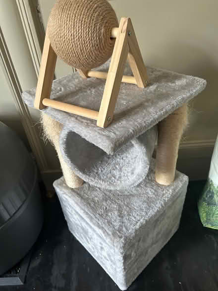 Photo of free Cat Activity Centre (HX1) (Halifax town centre HX1) #1