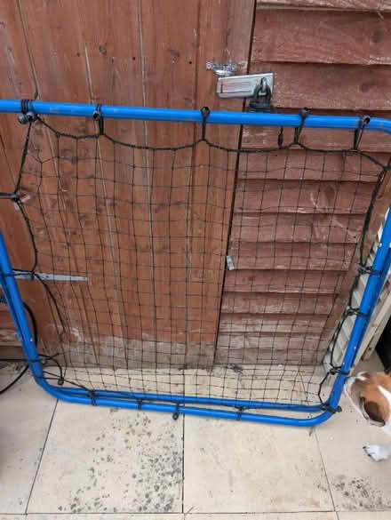 Photo of free Football rebounder (Didcot OX11) #1
