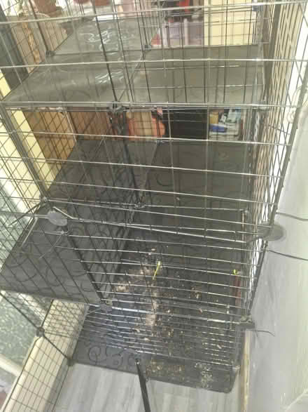 Photo of free Cat cage /catio (Trewoon) #2