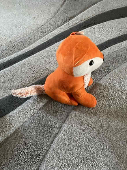 Photo of free Door stop furry fox, ha2 (Ha2) #1
