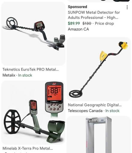 Photo of Metal Detector to lend (Riverside South) #1