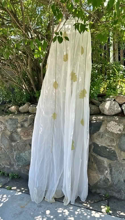 Photo of free Veil for a crib or bed (Bellrock area Malden) #1