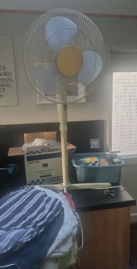 Photo of free Tall fan (Derby Chaddesden DE21) #2