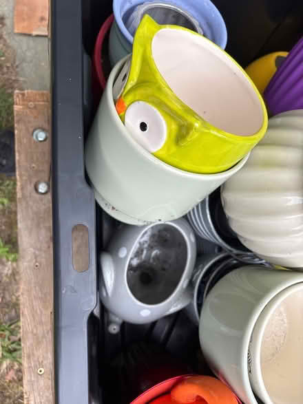 Photo of free Tons of flower pots (Stevensville) #4