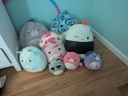 Photo of free Squishmallow Collection (Stormville) #1