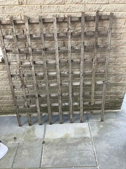 Photo of free Trellis (Bd16) #1
