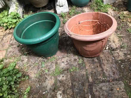 Photo of free 2 large plastic pots (Shepherds Bush) #1