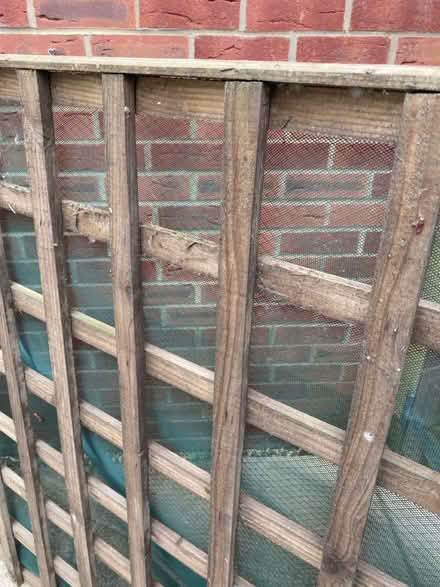 Photo of free Wooden trellis x 2 (Portsmouth - PO4 Milton) #2