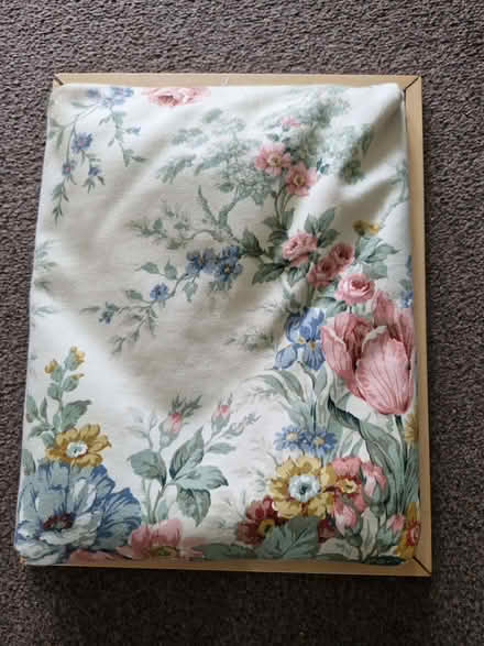 Photo of free Tray (Currie EH14) #2