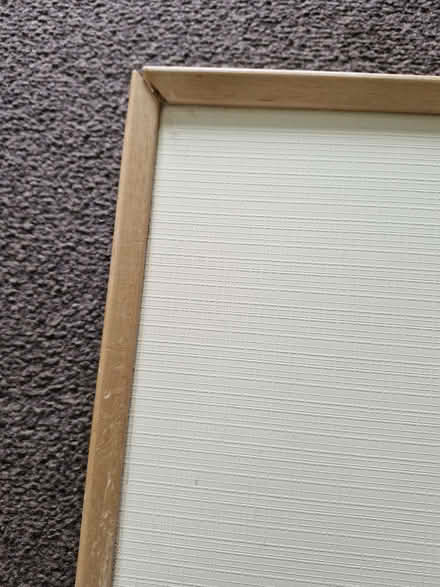 Photo of free Tray (Currie EH14) #1