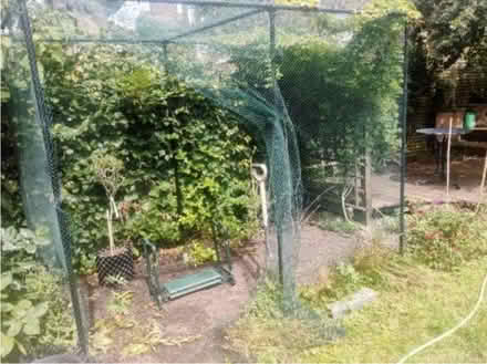 Photo of free Fruit/vegetable cage (South Norwood, SE25) #1