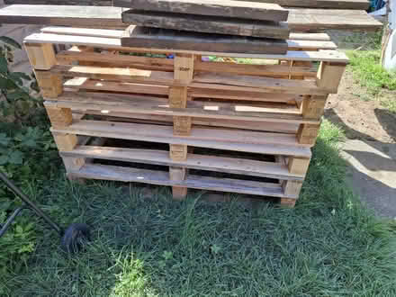 Photo of free 6 Pallets (South Norwood, SE25) #1