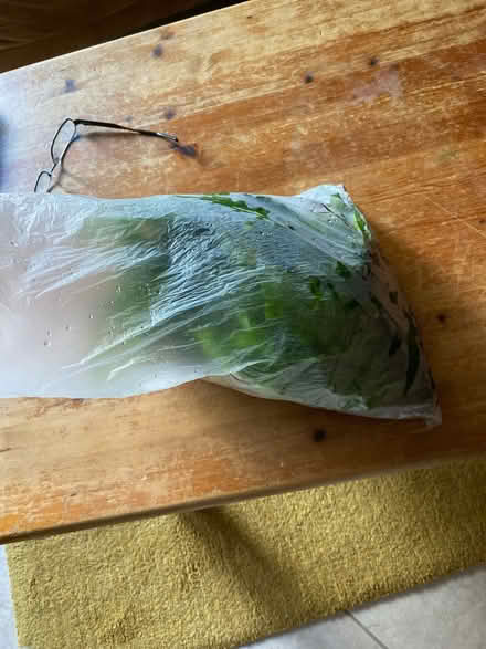 Photo of free Java fern (Aldershot) #2