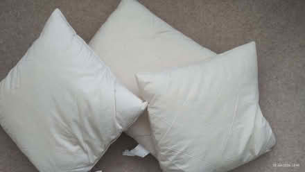 Photo of free Duck feather cushion inners x 4. 35cm square (Henleaze BS9) #1