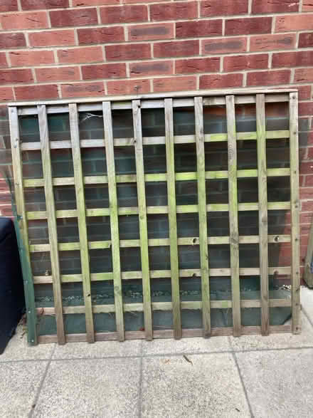 Photo of free Wooden trellis x 2 (Portsmouth - PO4 Milton) #4