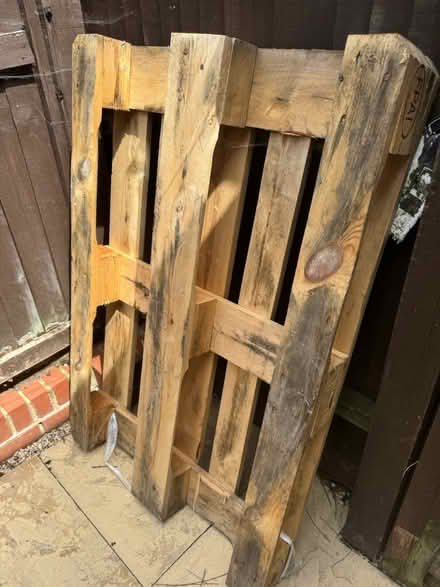 Photo of free Wood pallet (Goffs oak EN7) #2