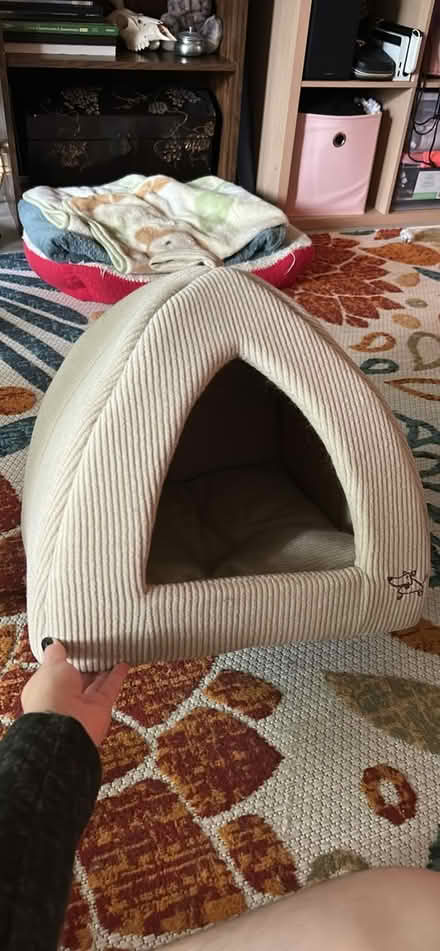 Photo of free Cat Stairs and Bed (Aspen Hill) #2